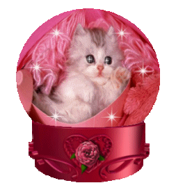 chaton dans une boule de cristal